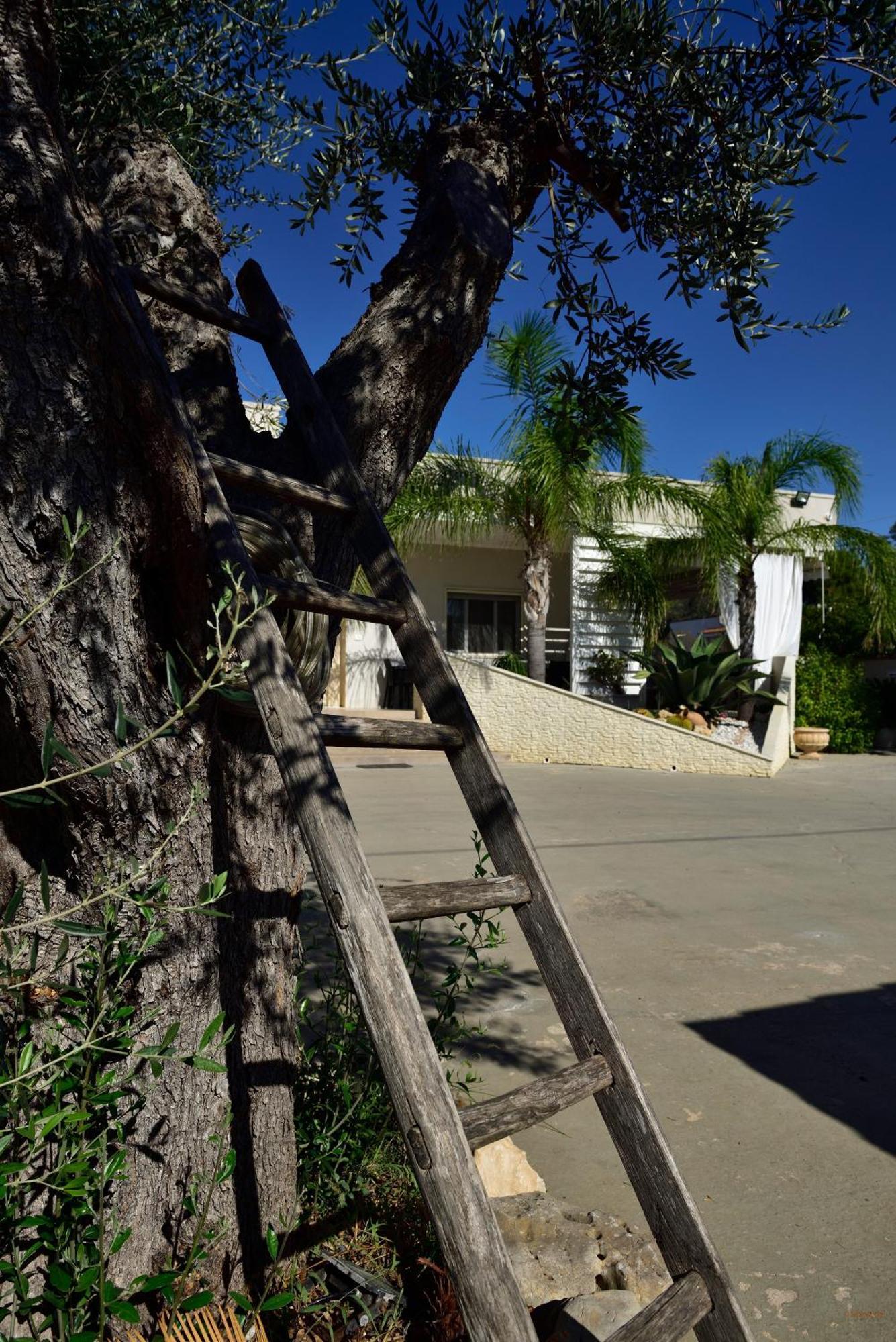 Relax Bed & Breakfast Porto Cesareo